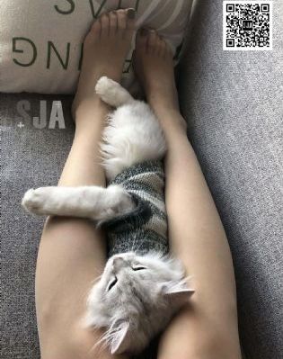 欧美电影明星颜值_4K在线播放
